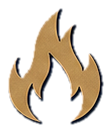 Flame icon representing passion for cooking